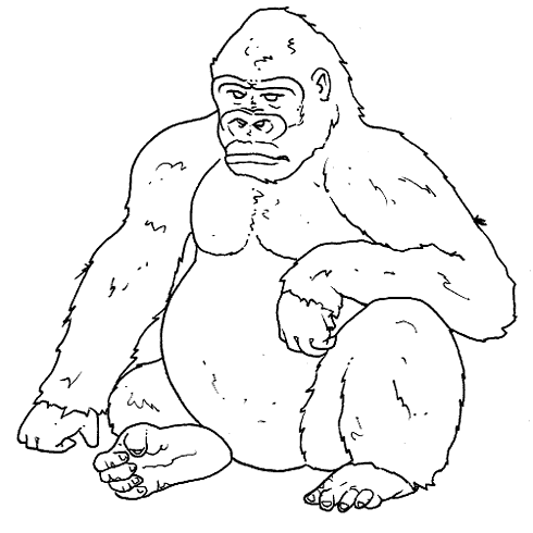 Plansa de colorat cu Gorilla 1 1